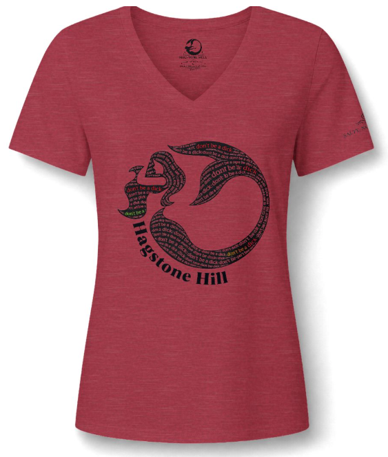"Don’t Be a Dick" V-Neck Tee