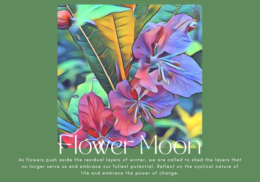 Flower Moon Card