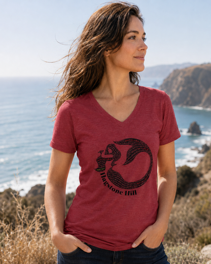 "Don’t Be a Dick" V-Neck Tee